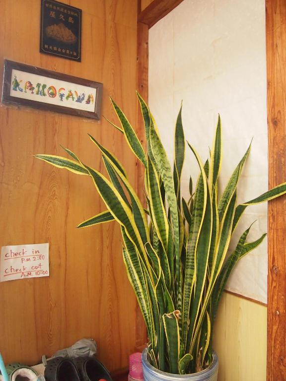 Tirol Hotel Yakushima  Værelse billede